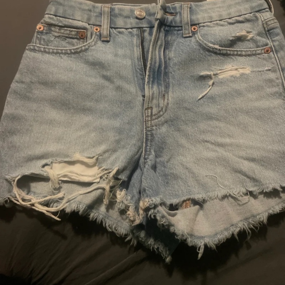 American Eagle 90s boyfriend shorts curvy size 00 (24W) NWT